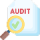 audit 1