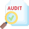 audit 1